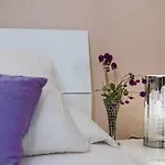 B&B St. Peters Vacancy